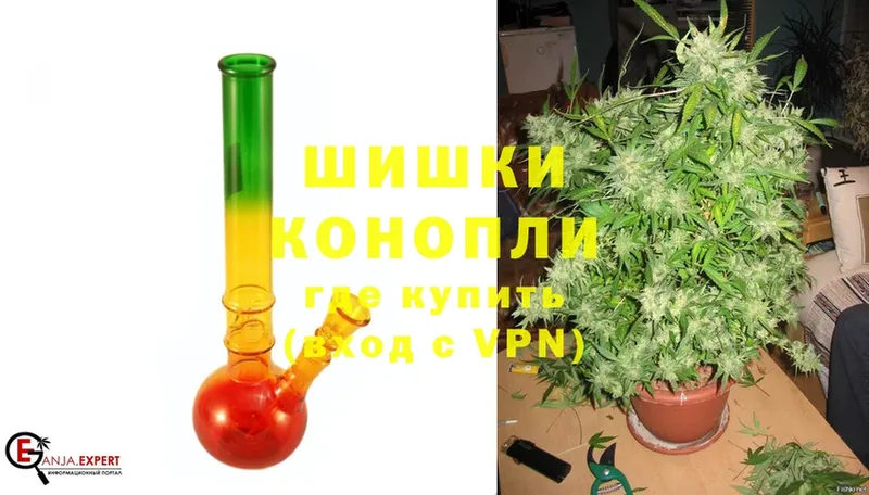 где купить наркоту  Алексин  Канабис SATIVA & INDICA 